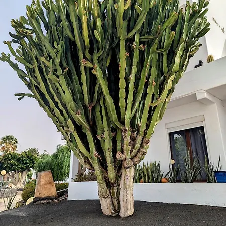 Apartamento Charming Flat In Molinos With Terrace & Pools, Near Playa Bastian *