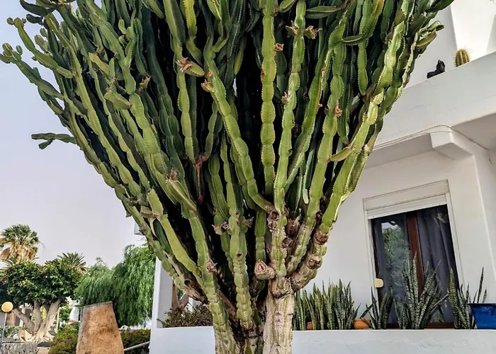 Daire Charming Flat In Molinos With Terrace & Pools, Near Playa Bastian *