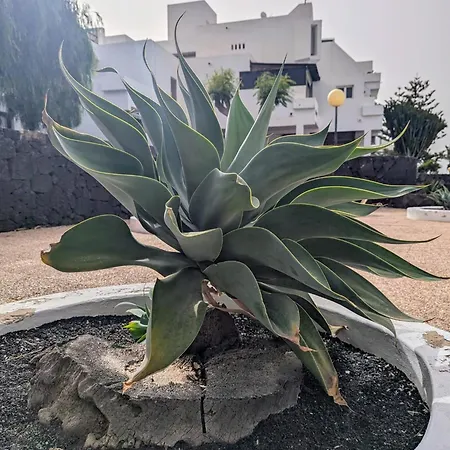 Charming Flat In Molinos With Terrace & Pools, Near Playa Bastian Apartament Costa Teguise